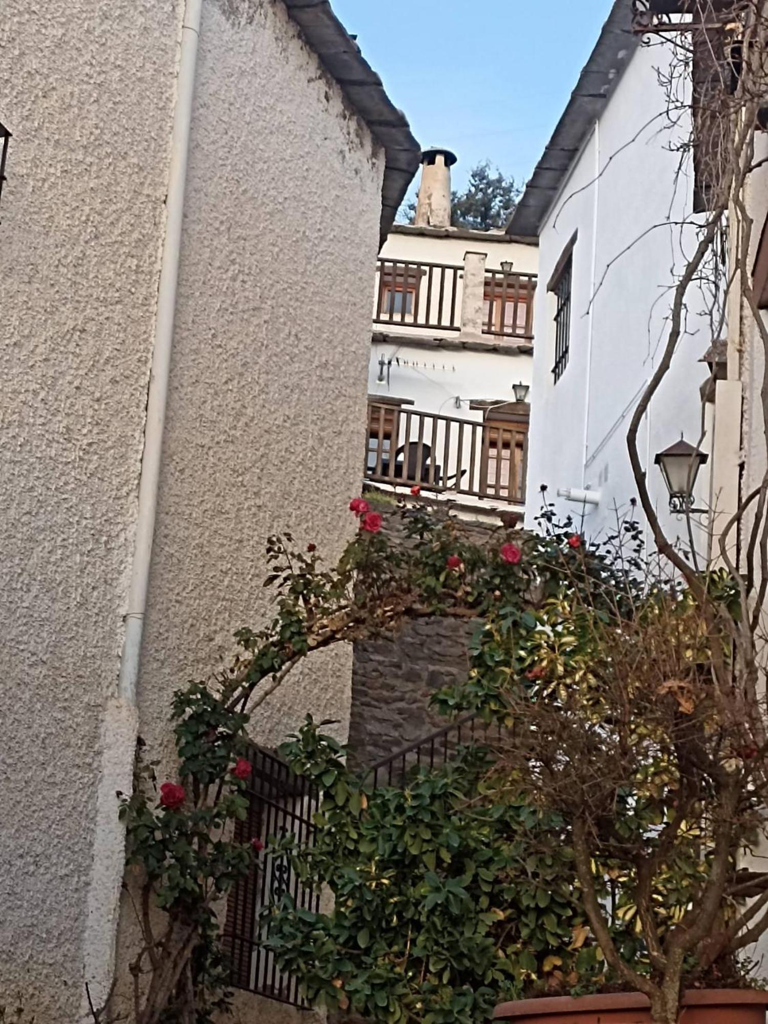La Casita Del Castano En